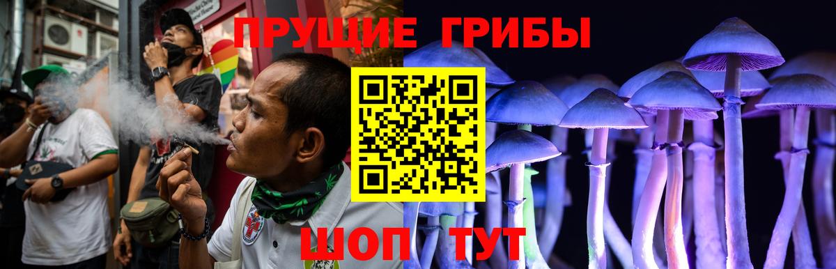 Псилоцибиновые грибы GOLDEN TEACHER  Вход с VPN  Петропавловск-Камчатский  Галлюциногенные грибы мухоморы 